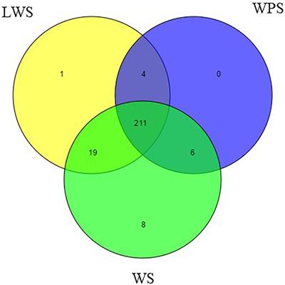 Genome-Wide Analysis of MicroRNAs in Relation to Pupariation in Oriental Fruit Fly